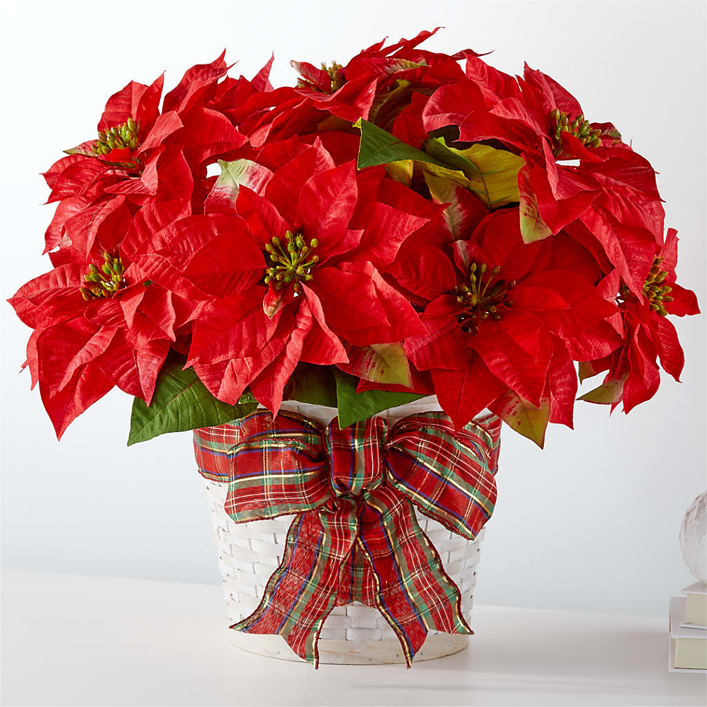 Happiest Holidays Poinsettia – Guru Flowers, Port Saint Lucie FL