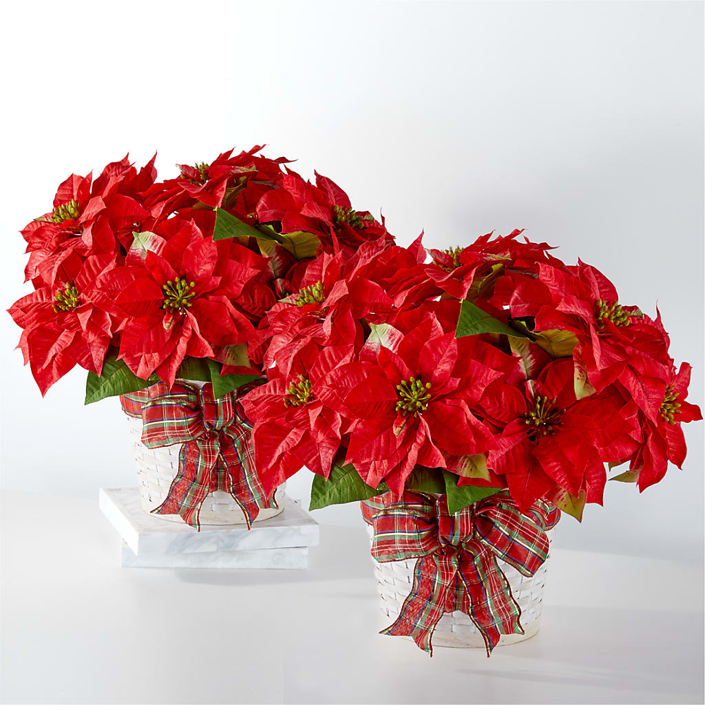 Happiest Holidays Poinsettia Bundle – Guru Flowers, Port Saint Lucie FL