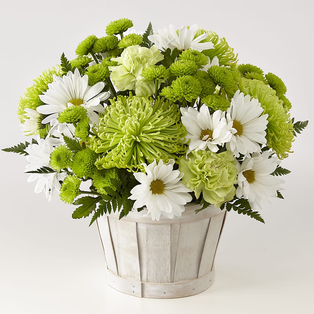 Lucky Charm Basket (Standard) – Guru Flowers, Port Saint Lucie FL