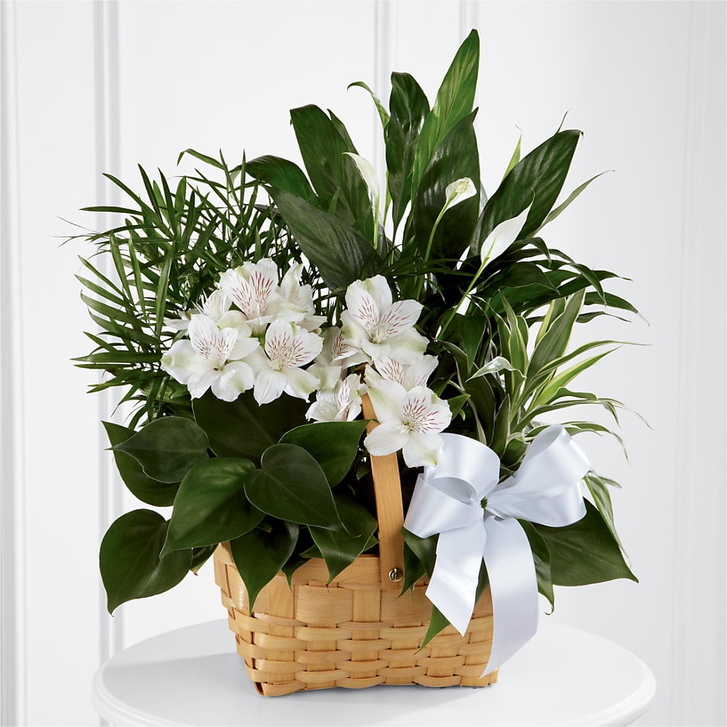 Peace & Serenity Dishgarden – Guru Flowers, Port Saint Lucie FL