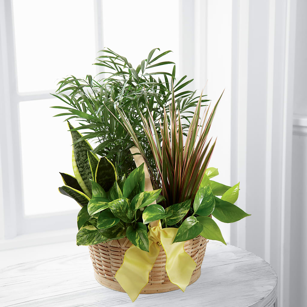 French Garden – Guru Flowers, Port Saint Lucie FL