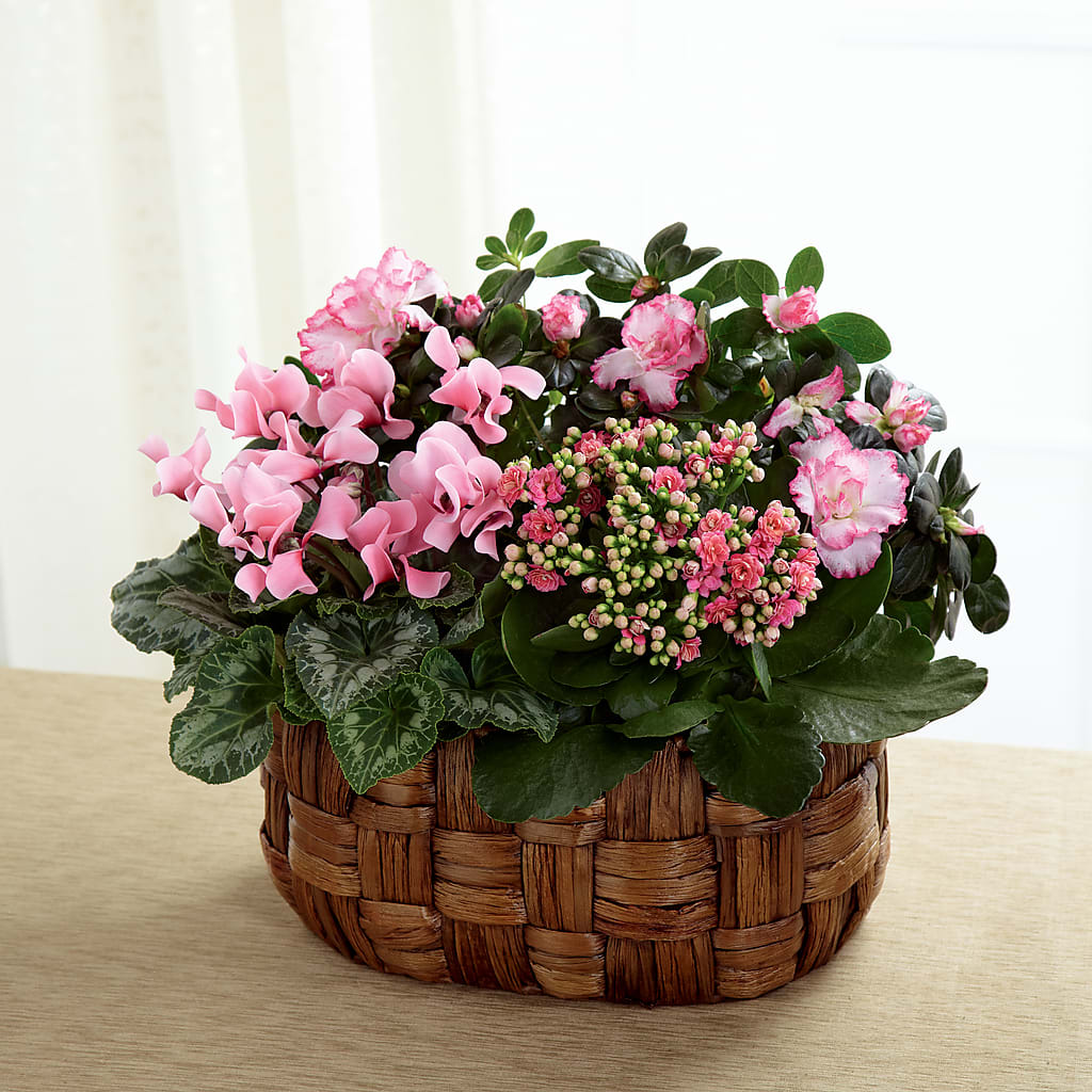 Pink Assortment – Guru Flowers, Port Saint Lucie FL