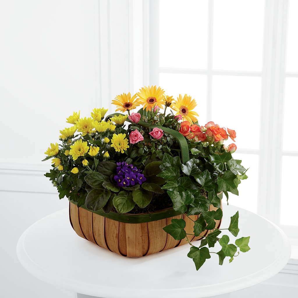 Gentle Blossoms Basket – Guru Flowers, Port Saint Lucie FL