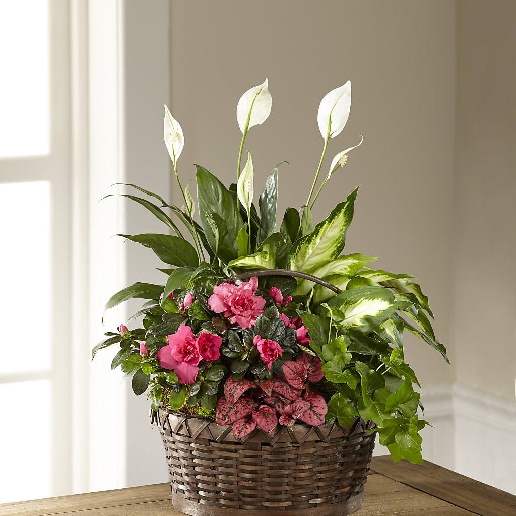 Dream in Pink Dishgarden – Guru Flowers, Port Saint Lucie FL