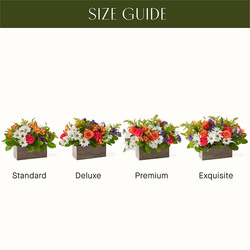 Oopsie Daisy Box Bouquet – Guru Flowers, Port Saint Lucie FL