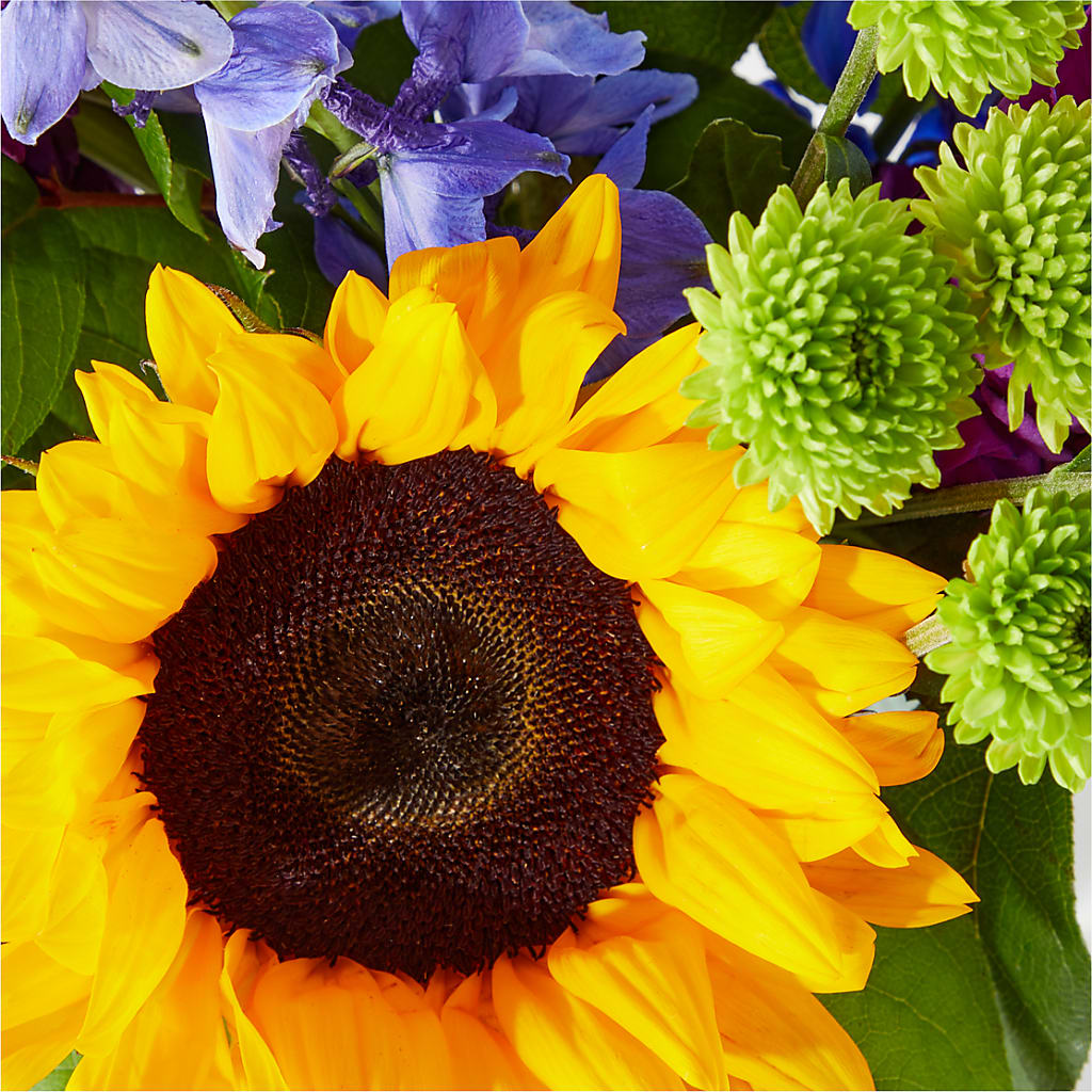 Catching Rays Bouquet – Guru Flowers, Port Saint Lucie FL