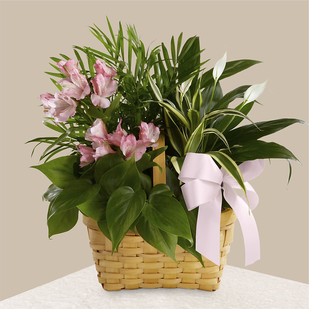 Living Spirit Dishgarden – Guru Flowers, Port Saint Lucie FL