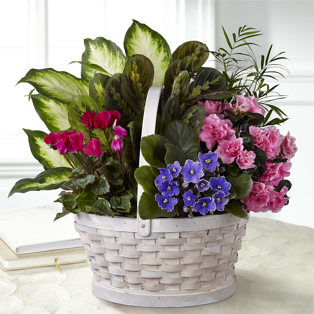 Peaceful Garden Planter – Guru Flowers, Port Saint Lucie FL