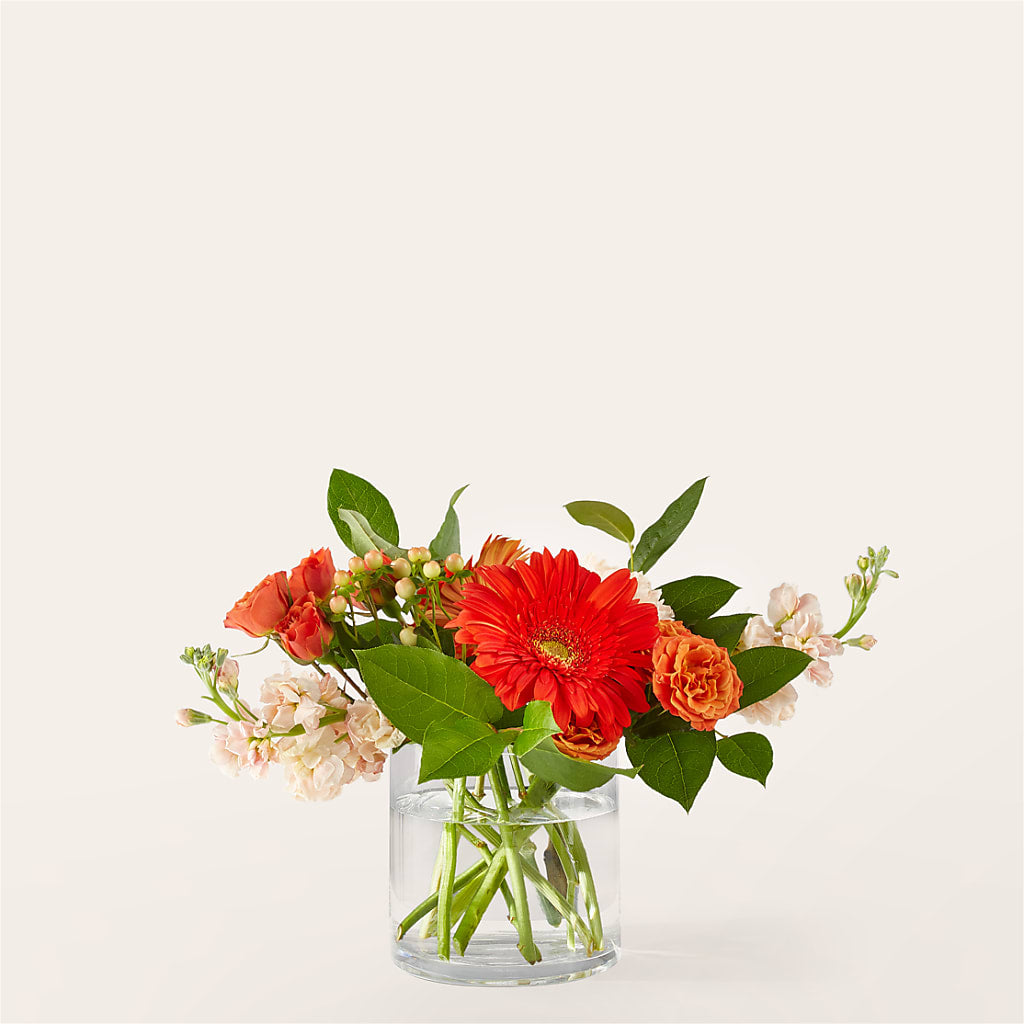 Paloma Please Bouquet – Guru Flowers, Port Saint Lucie FL