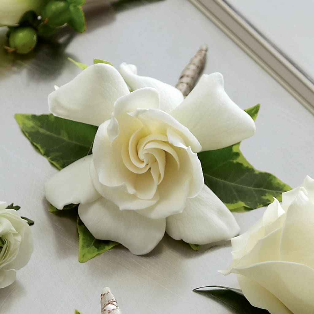 Gardenia Boutonniere – Guru Flowers, Port Saint Lucie FL