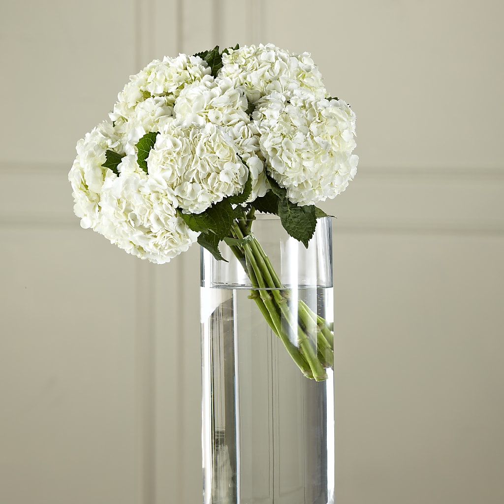 White Hydrangea Hand-Tied Bouquet – Guru Flowers, Port Saint Lucie FL
