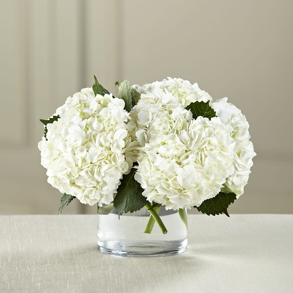 White Hydrangea Bouquet – Guru Flowers, Port Saint Lucie FL