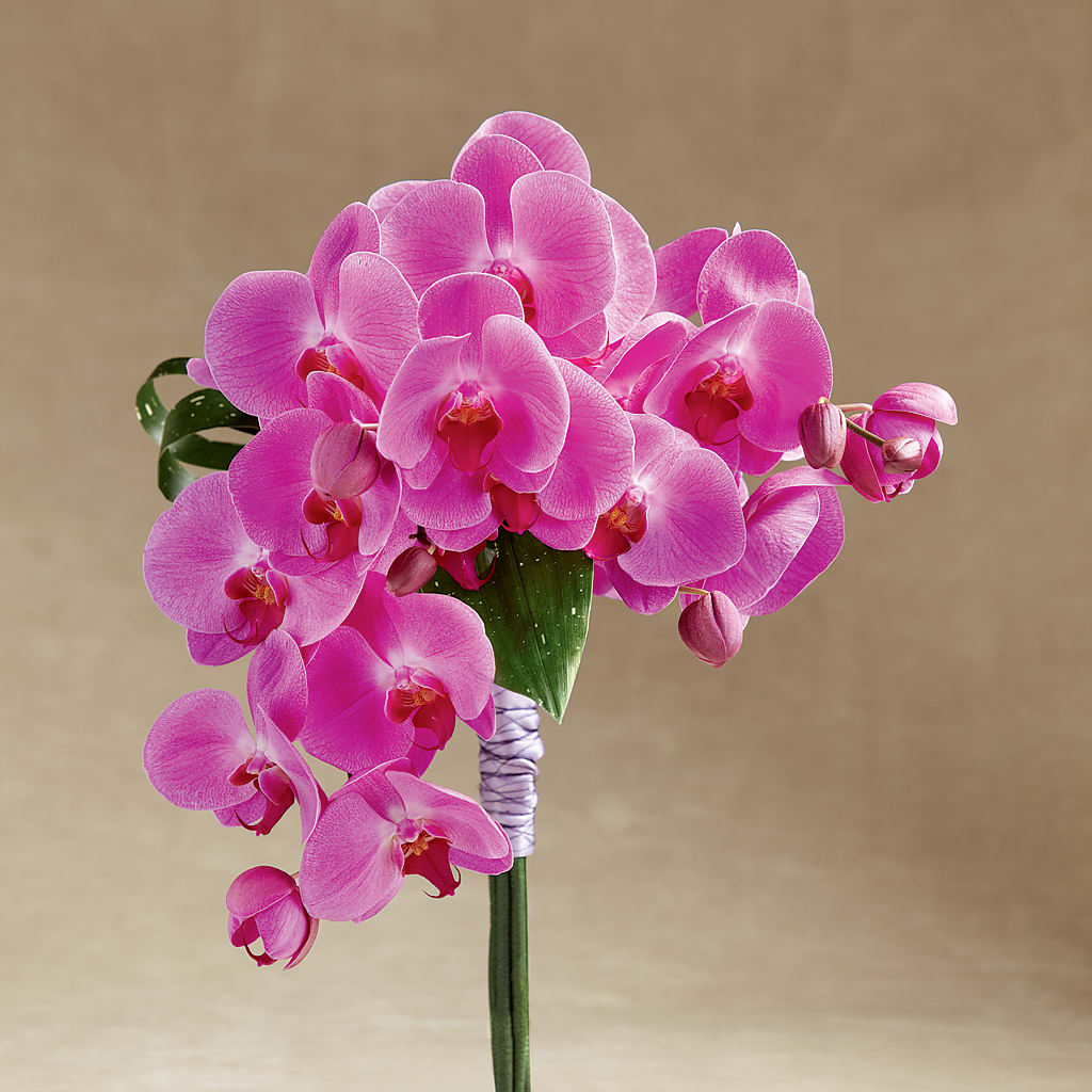 Glorious Bouquet – Guru Flowers, Port Saint Lucie FL