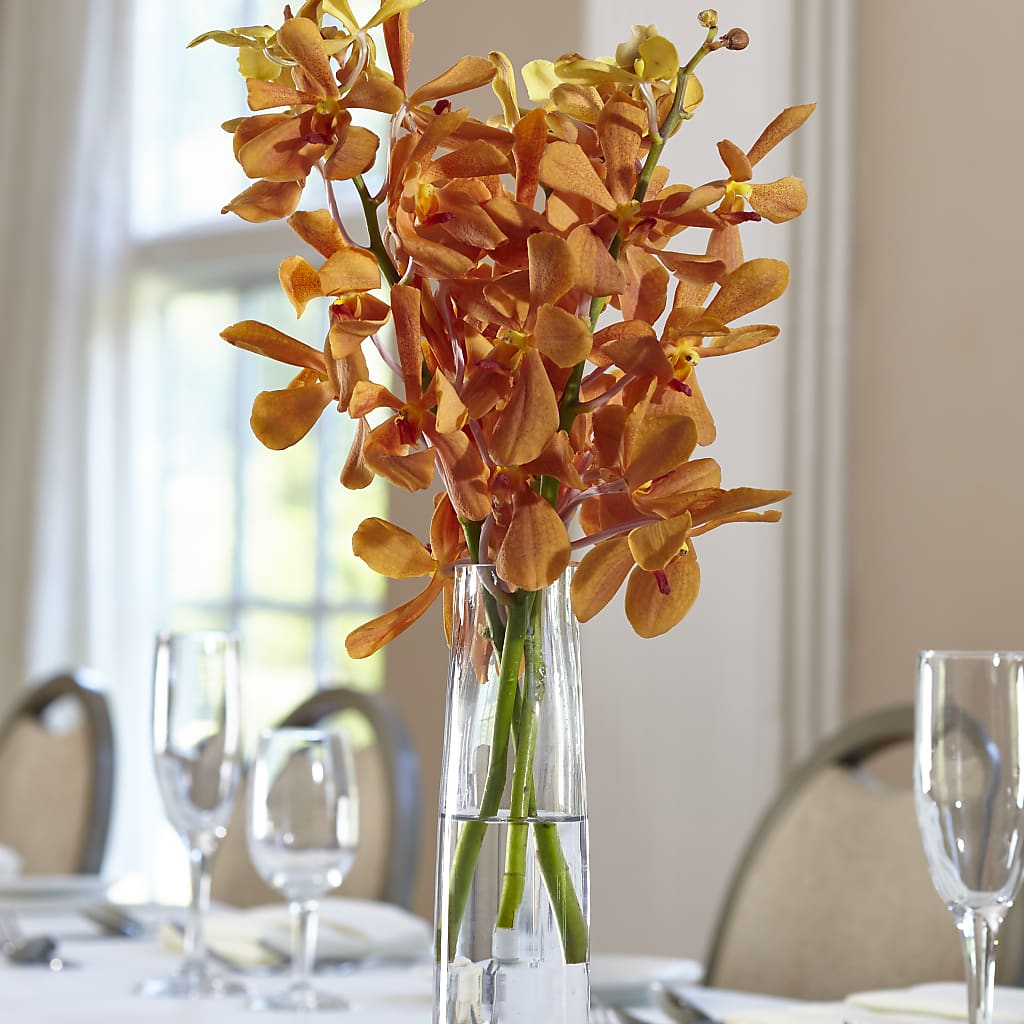 Orange Mokara Bud Vase – Guru Flowers, Port Saint Lucie FL