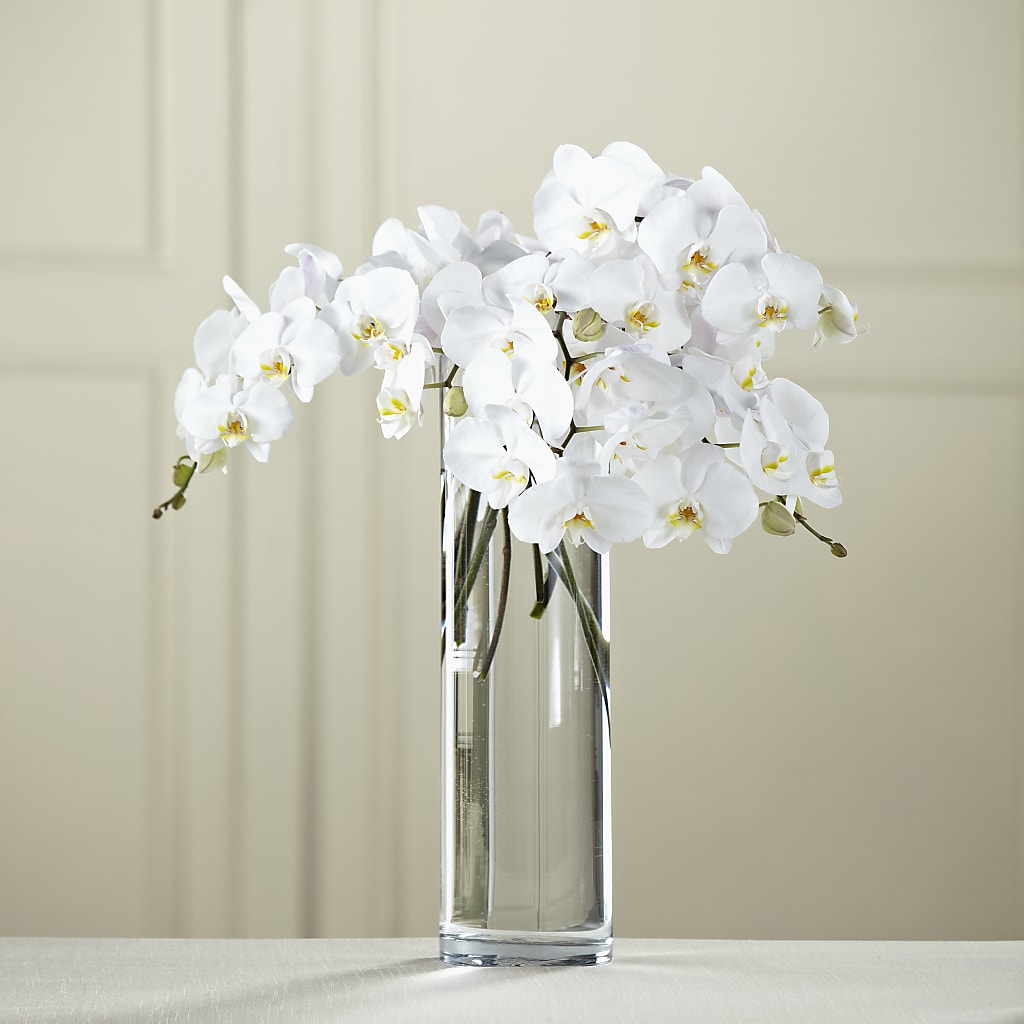 White Phalaenopsis Bouquet – Guru Flowers, Port Saint Lucie FL