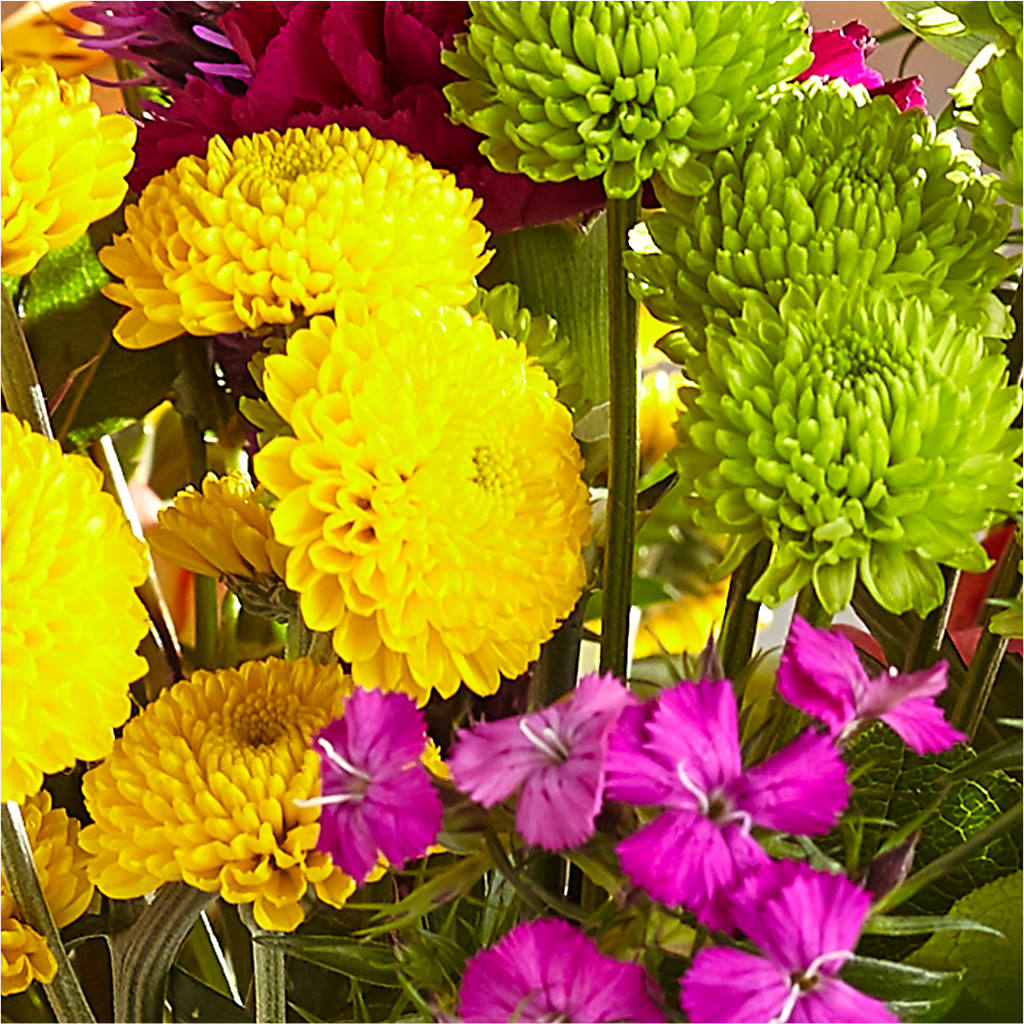 Bold & Bright – A Florist Original –  Guru Flowers, Port Saint Lucie FL
