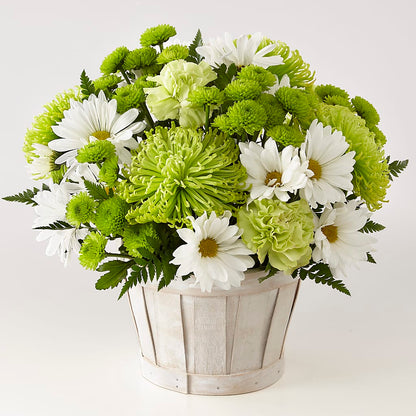 Lucky Charm Basket (Standard) –  Guru Flowers, Port Saint Lucie FL