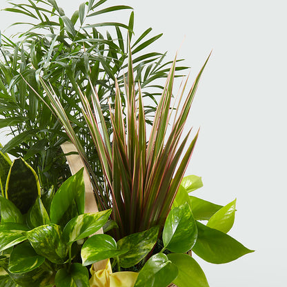 French Garden –  Guru Flowers, Port Saint Lucie FL