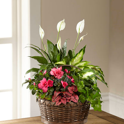 Dream in Pink Dishgarden –  Guru Flowers, Port Saint Lucie FL