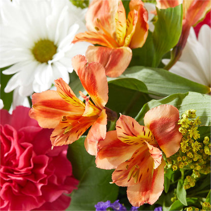 Oopsie Daisy Box Bouquet –  Guru Flowers, Port Saint Lucie FL