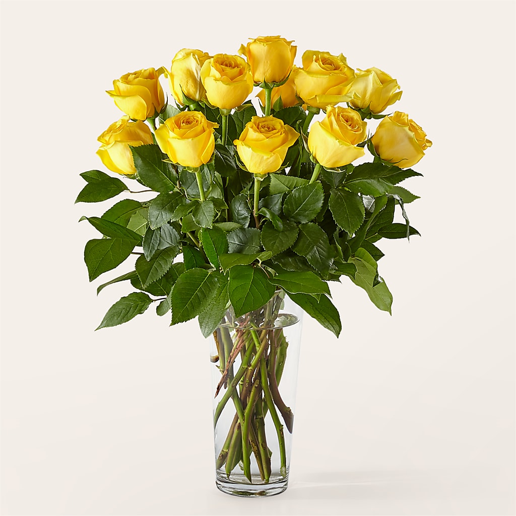 Long Stem Yellow Rose Bouquet –  Guru Flowers, Port Saint Lucie FL