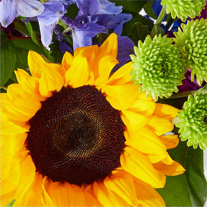 Catching Rays Bouquet –  Guru Flowers, Port Saint Lucie FL