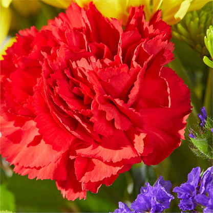 Brighter Days Bouquet –  Guru Flowers, Port Saint Lucie FL