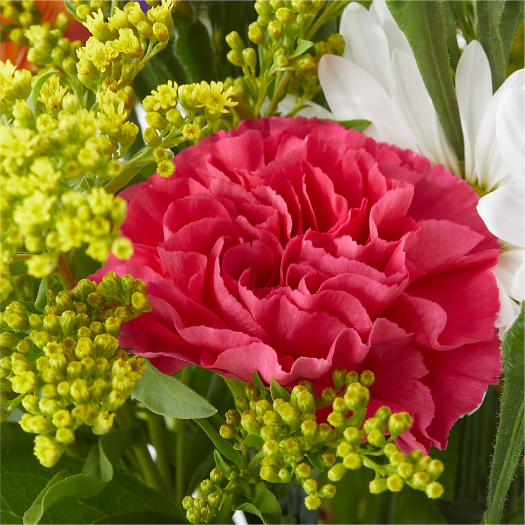 Oopsie Daisy Bouquet –  Guru Flowers, Port Saint Lucie FL