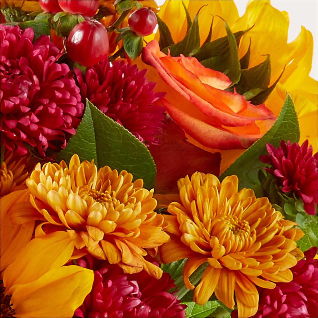 Sweater Season - A Florist Original –  Guru Flowers, Port Saint Lucie FL
