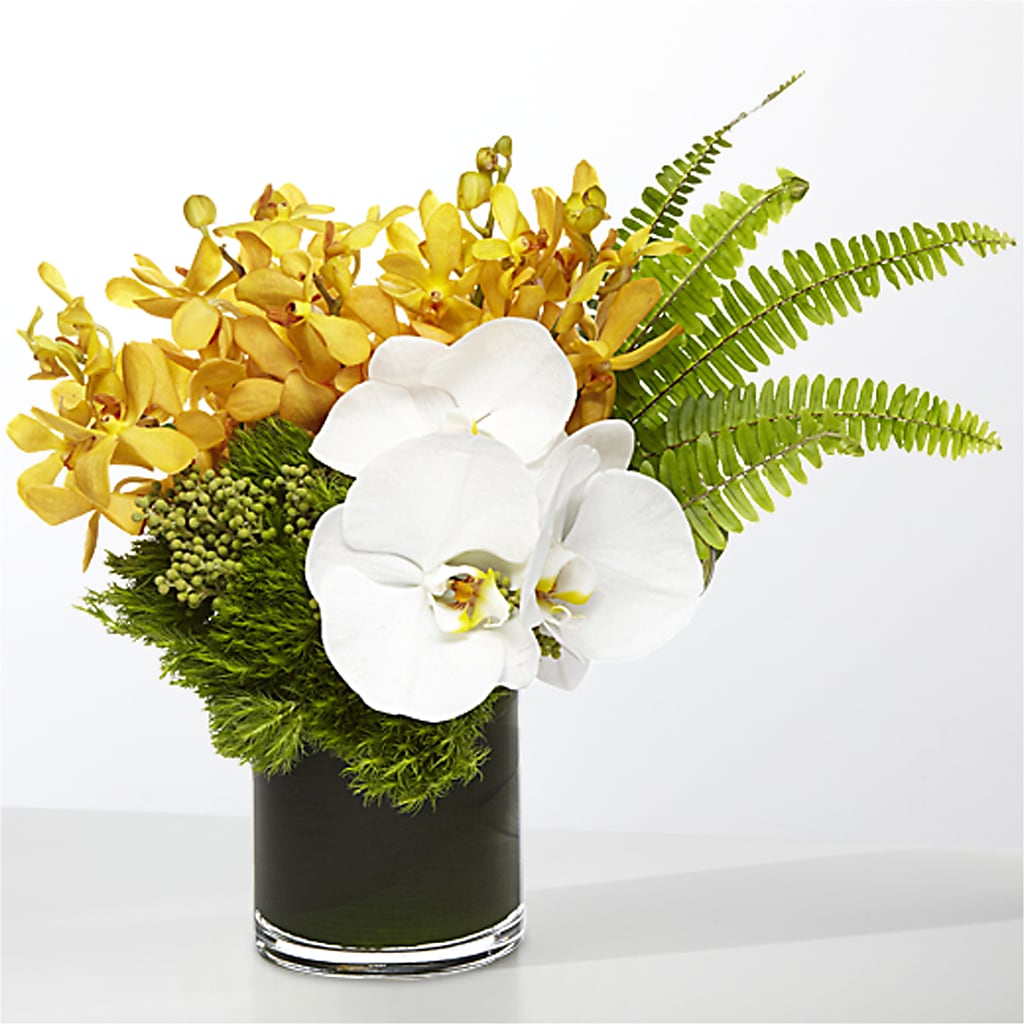 The Tropics –  Guru Flowers, Port Saint Lucie FL