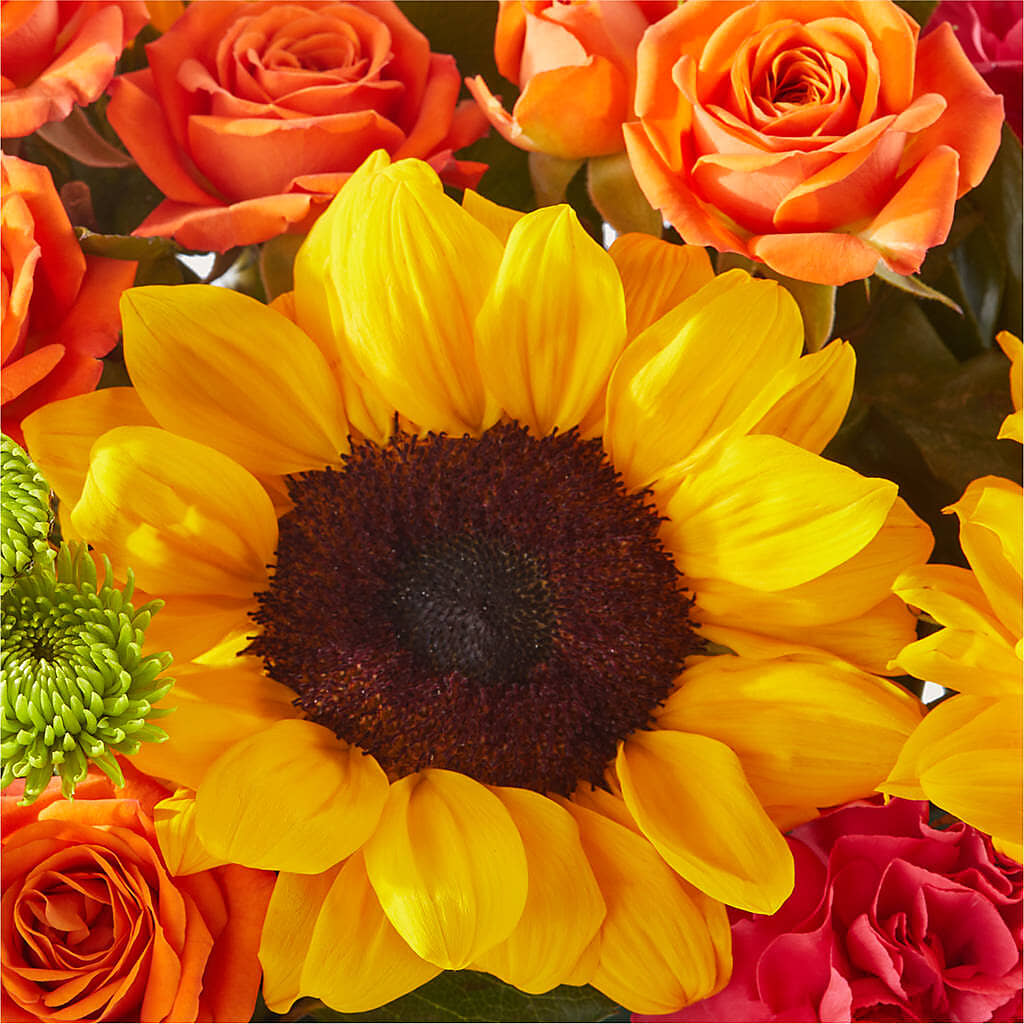 Sun-drenched Blooms Box Bouquet –  Guru Flowers, Port Saint Lucie FL