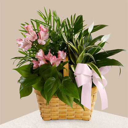 Living Spirit Dishgarden –  Guru Flowers, Port Saint Lucie FL