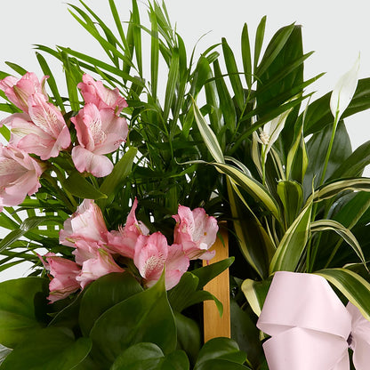 Living Spirit Dishgarden –  Guru Flowers, Port Saint Lucie FL