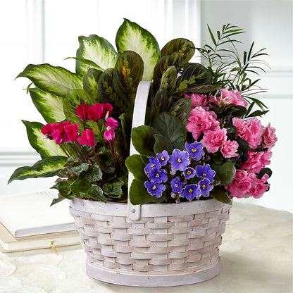 Peaceful Garden Planter –  Guru Flowers, Port Saint Lucie FL
