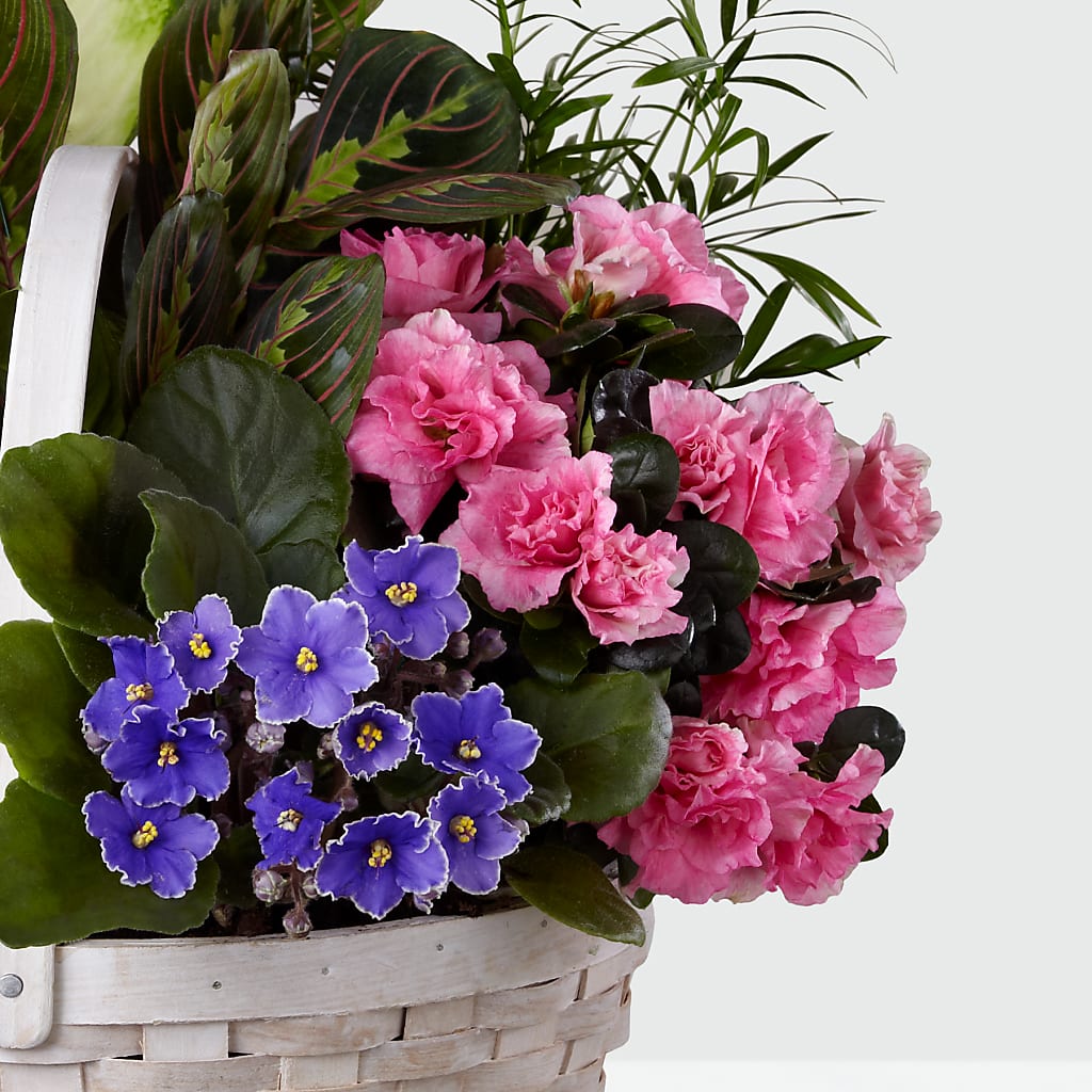 Peaceful Garden Planter –  Guru Flowers, Port Saint Lucie FL