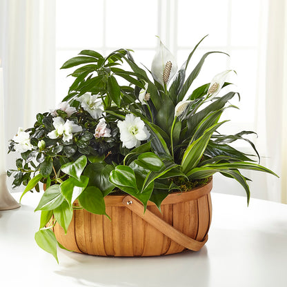 Serene Dishgarden –  Guru Flowers, Port Saint Lucie FL