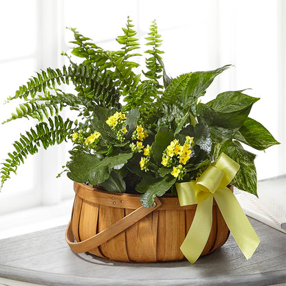 Always Dear Dishgarden –  Guru Flowers, Port Saint Lucie FL