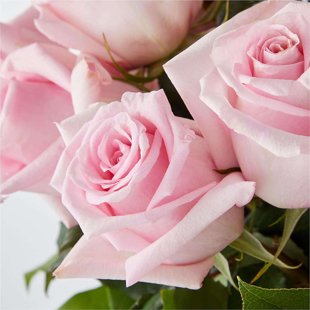 Picture Perfect Pink Rose Bouquet –  Guru Flowers, Port Saint Lucie FL