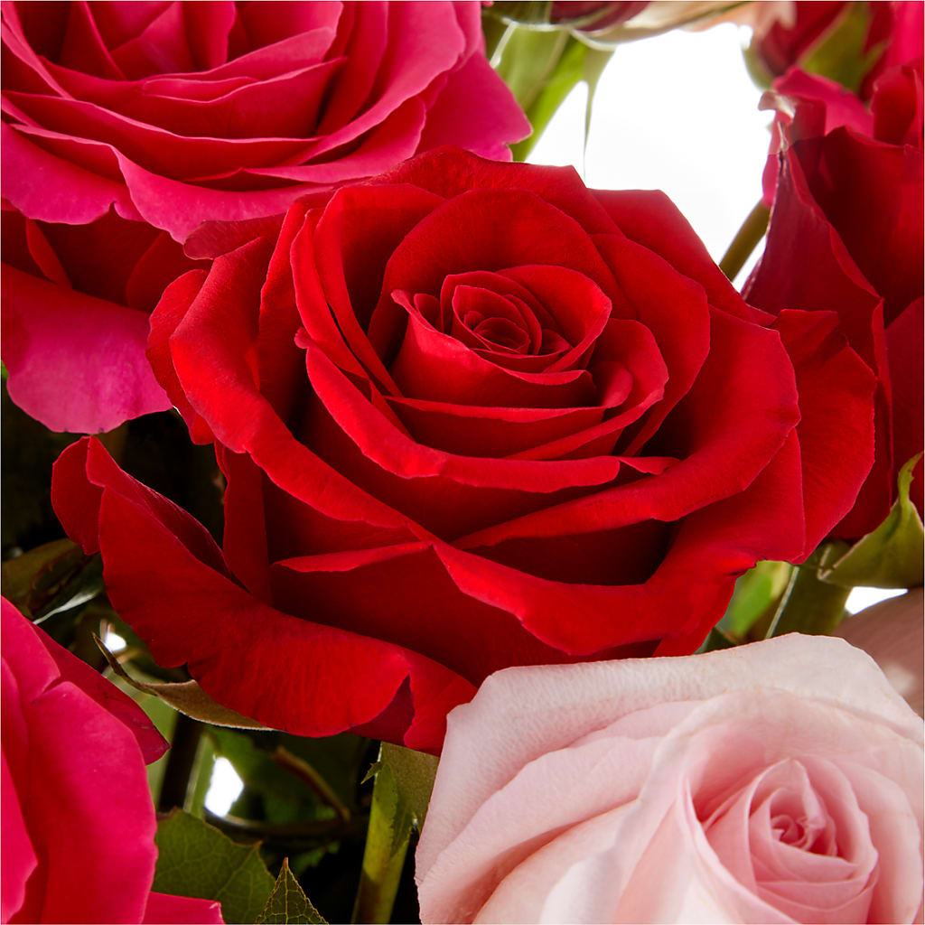 Love Notes Rose Bouquet –  Guru Flowers, Port Saint Lucie FL