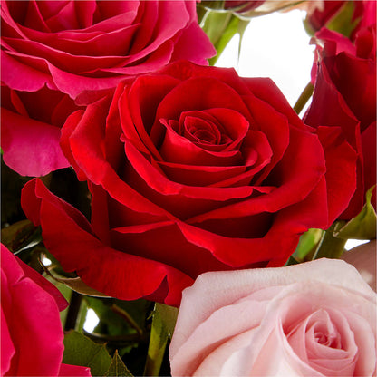 Love Notes Rose Bouquet –  Guru Flowers, Port Saint Lucie FL
