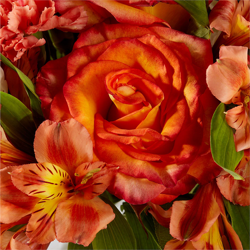 Apricot Glow Bouquet –  Guru Flowers, Port Saint Lucie FL