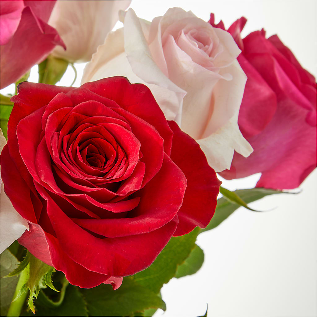 Charming Rose Bouquet –  Guru Flowers, Port Saint Lucie FL