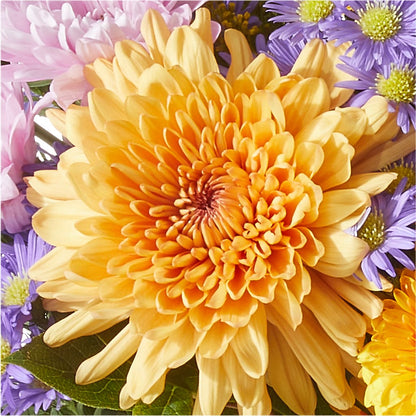 Countryside Bouquet –  Guru Flowers, Port Saint Lucie FL