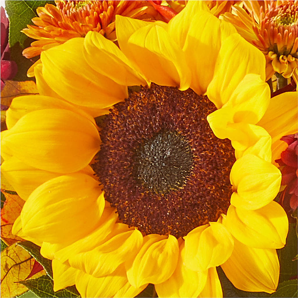 Sunny Side Bouquet –  Guru Flowers, Port Saint Lucie FL