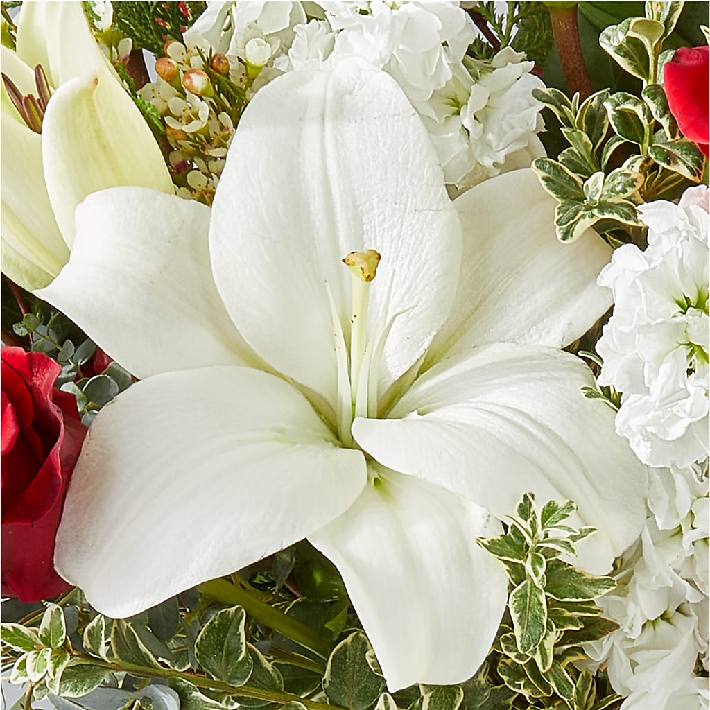 Twinkle Lights Bouquet –  Guru Flowers, Port Saint Lucie FL