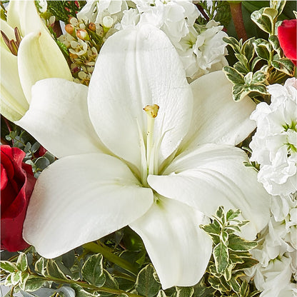 Twinkle Lights Bouquet –  Guru Flowers, Port Saint Lucie FL