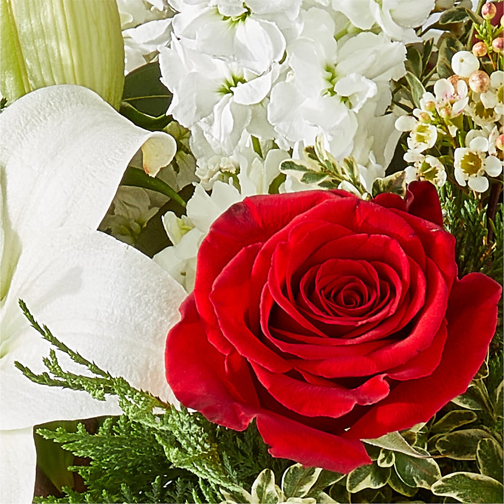 Twinkle Lights Bouquet –  Guru Flowers, Port Saint Lucie FL