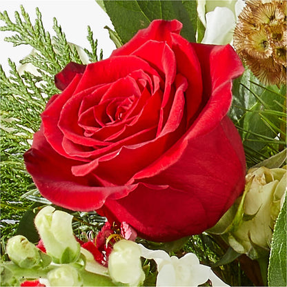Deck the Halls Bouquet –  Guru Flowers, Port Saint Lucie FL