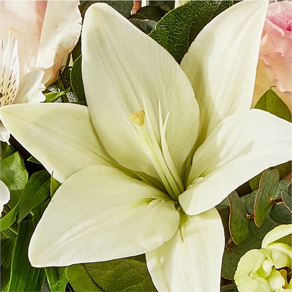 Ballet Slippers Bouquet –  Guru Flowers, Port Saint Lucie FL