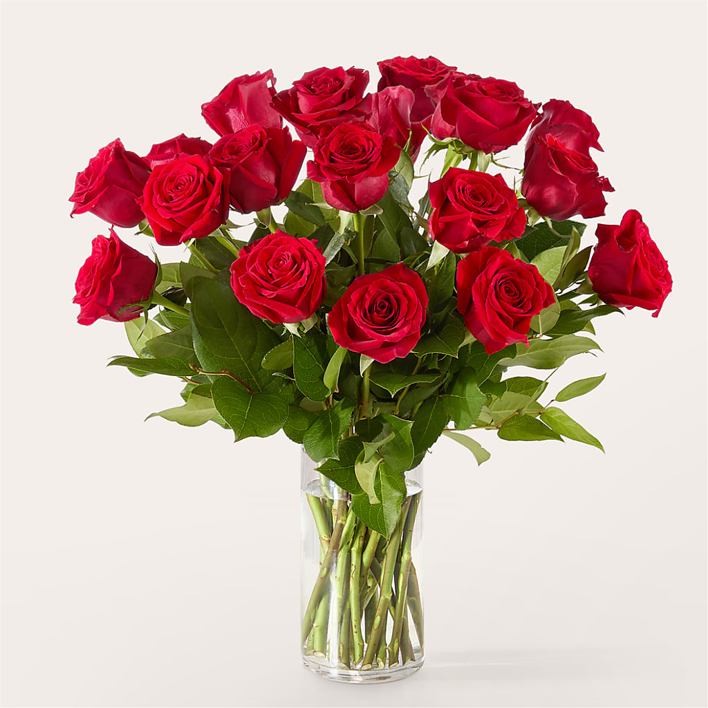 The One Red Rose Bouquet –  Guru Flowers, Port Saint Lucie FL